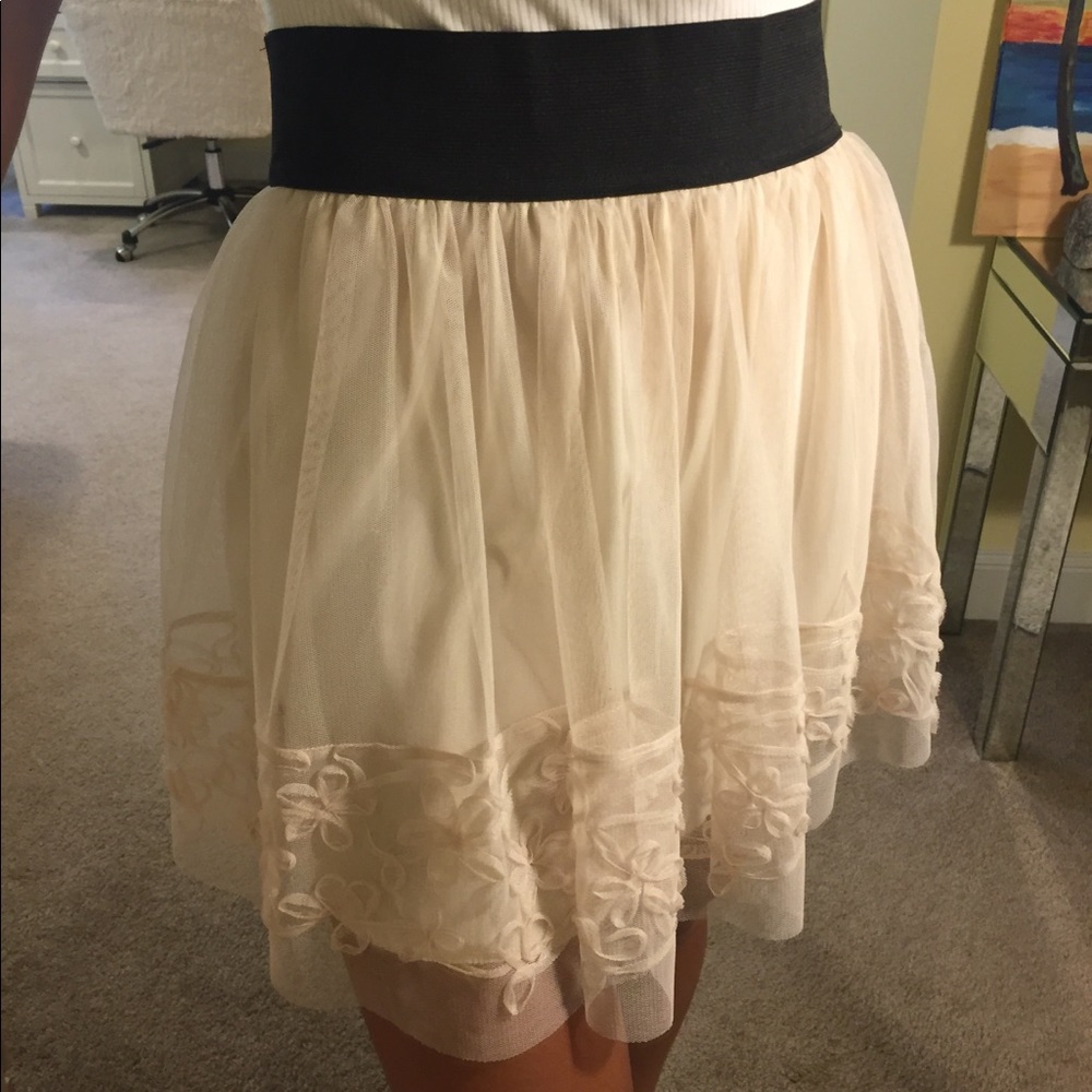 embroidered wet seal skirt